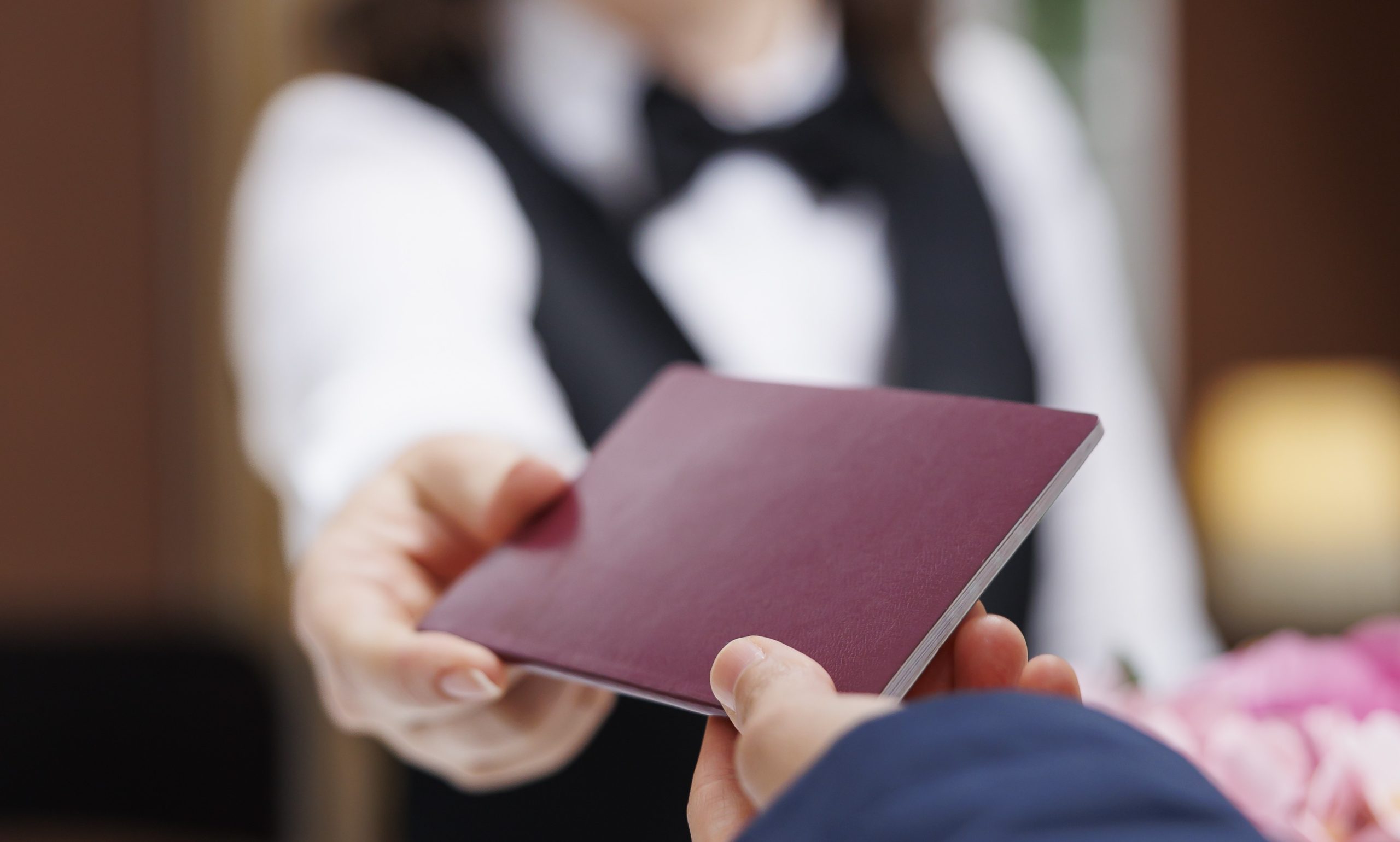 Havalimanı ve Pasaport Kontrol Rehberi